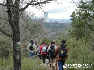 Senderismo Guadalajara - Monumento Natural Tetas de Viana. bosque en madrid